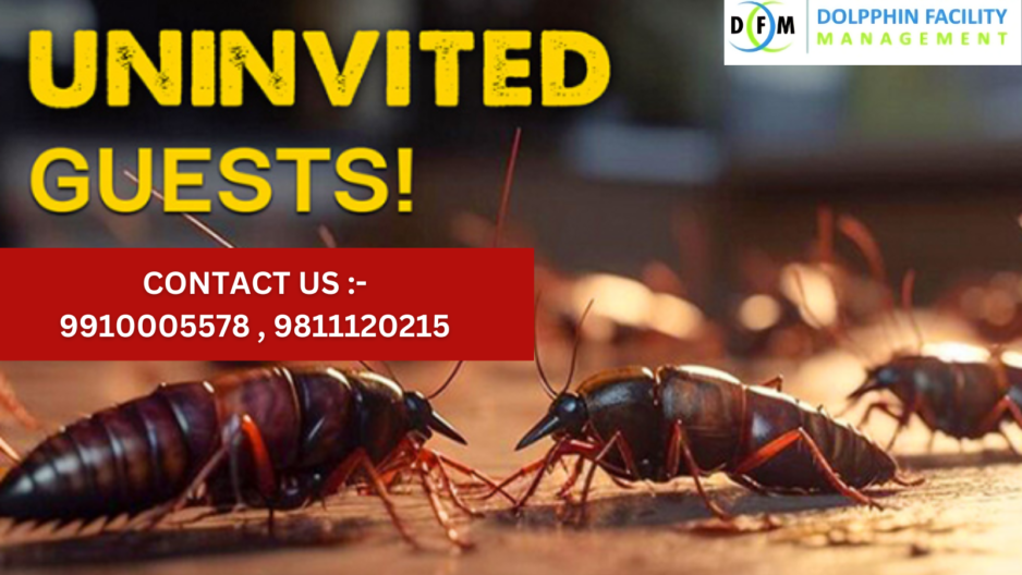 Cockroach Control services: Keep Your Home Pest-Free for festive season