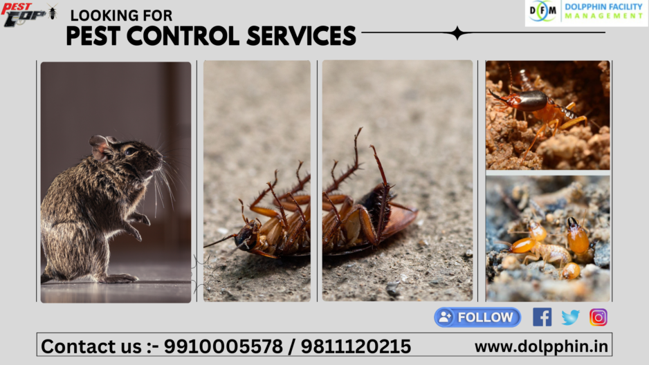 Pest control services in Greater Noida