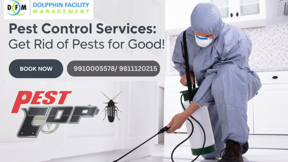 Professional Pest Control is Essential for Homes and Businesses