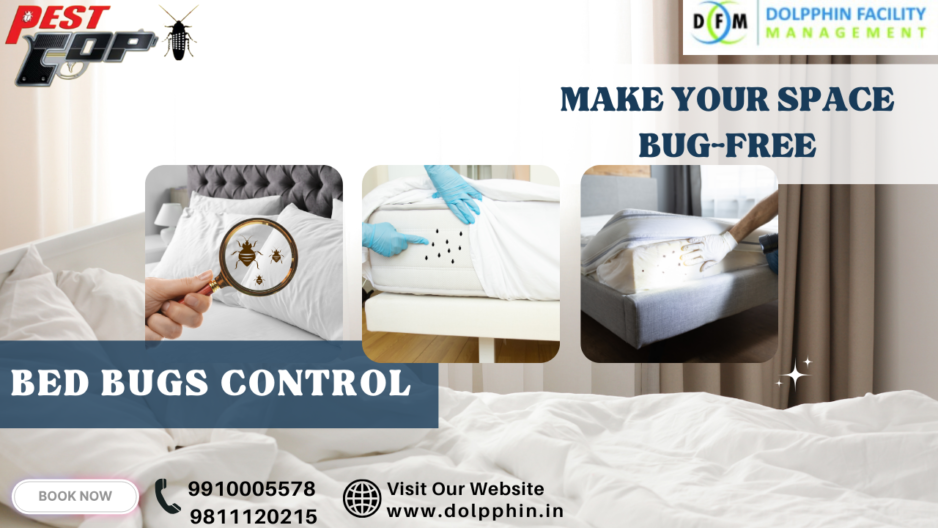 Bed Bugs Pest Control Services : How to Identify and Eliminate Infestations