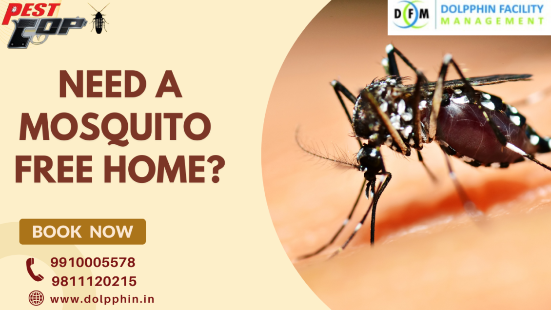 mosquito control services