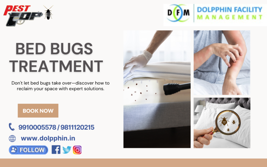 Bed bugs treatment in Delhi NCR