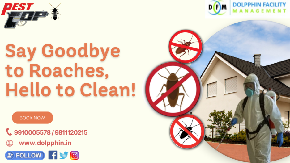 Best Cockroach Pest Control Services in Delhi ncr