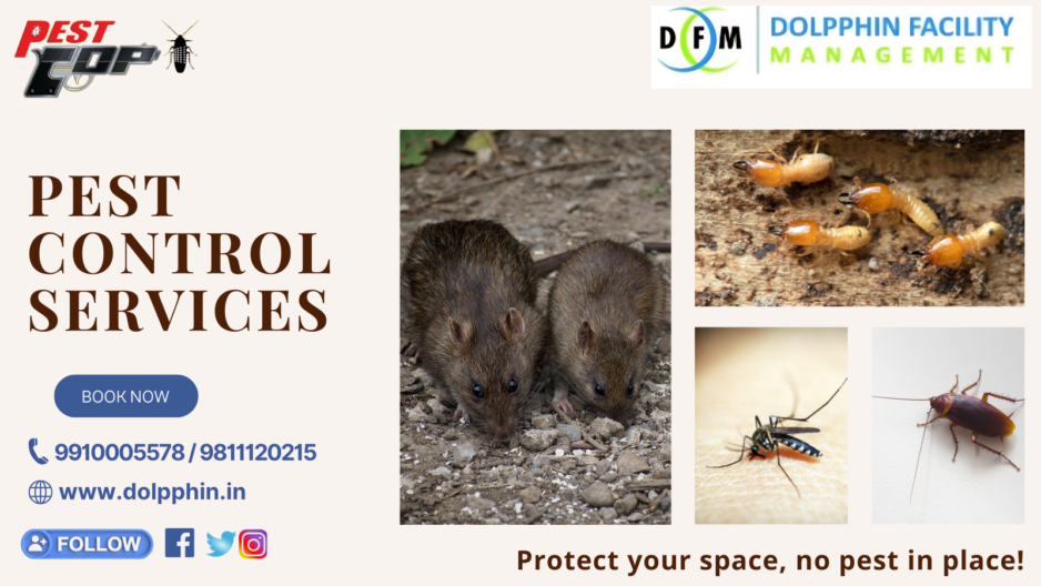 Pest control in Noida | Best pest control services