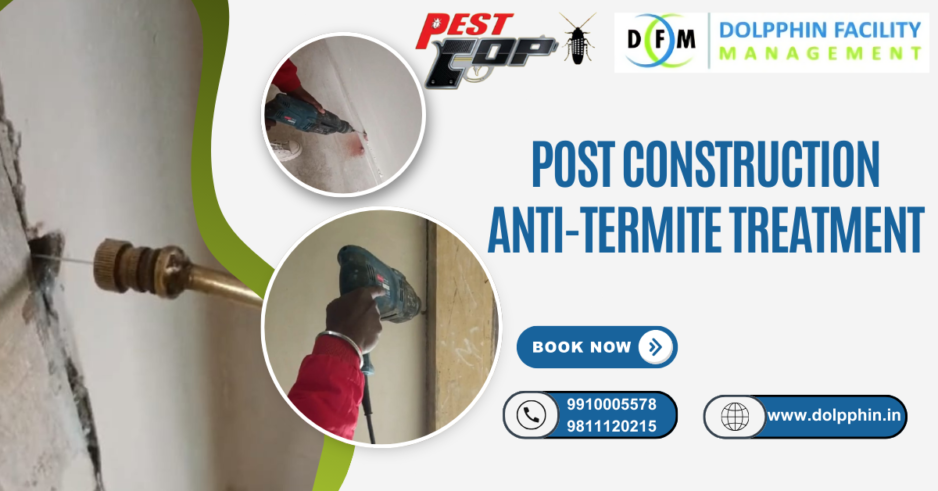 Post-Construction Anti-Termite Treatment and Its Procedures