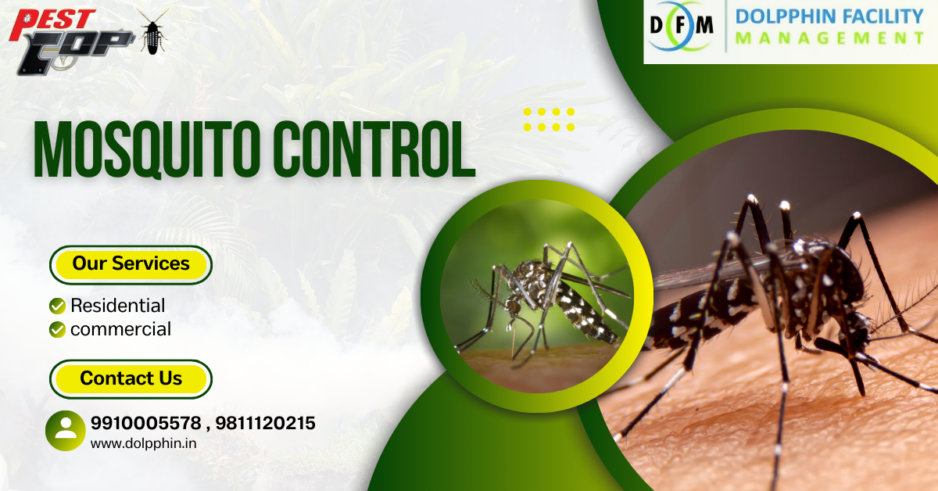 Mosquito Control Services: Your Best Defense Against Dengue and Malaria