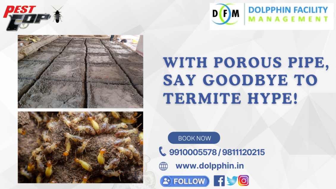 Anti-termite Treatment for porous pipe