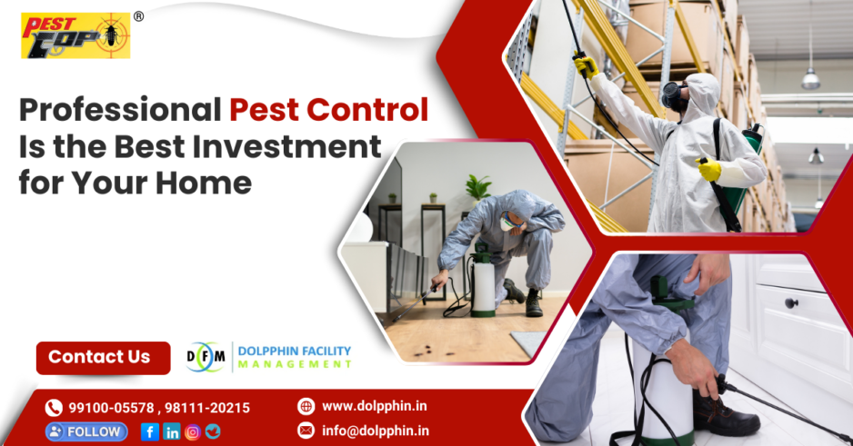 Why Professional Pest Control Is the Best Investment for Your Home?