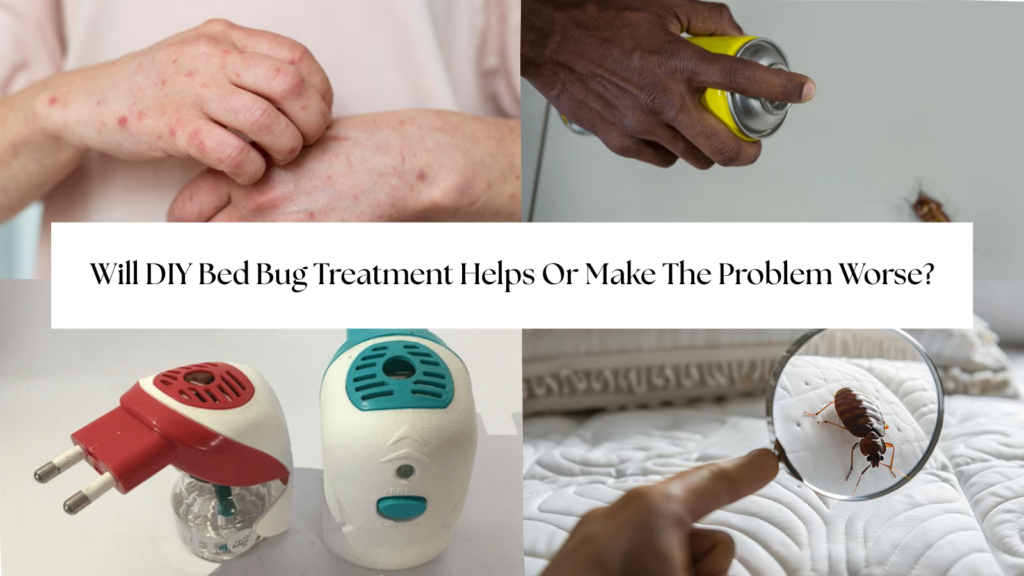 DIY METHODS OF BED BUG