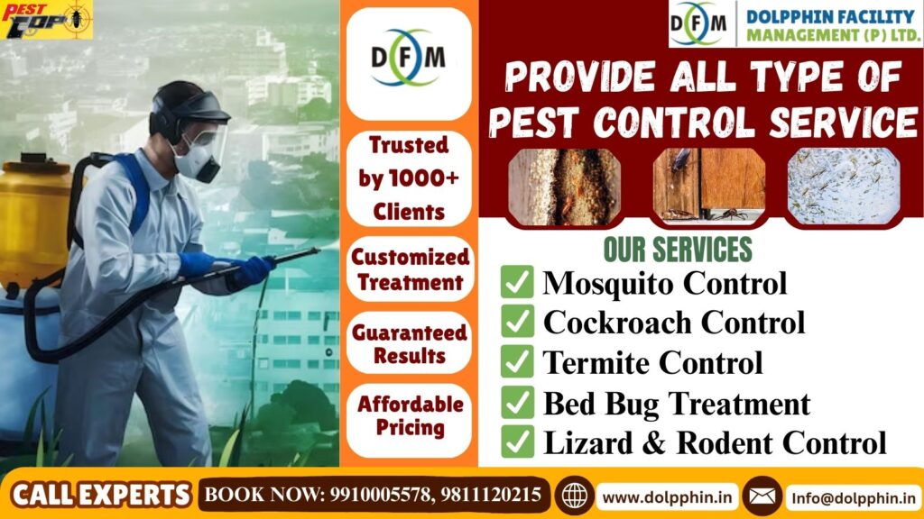 Pest-Free Living Made Easy—Affordable & Effective Pest Control