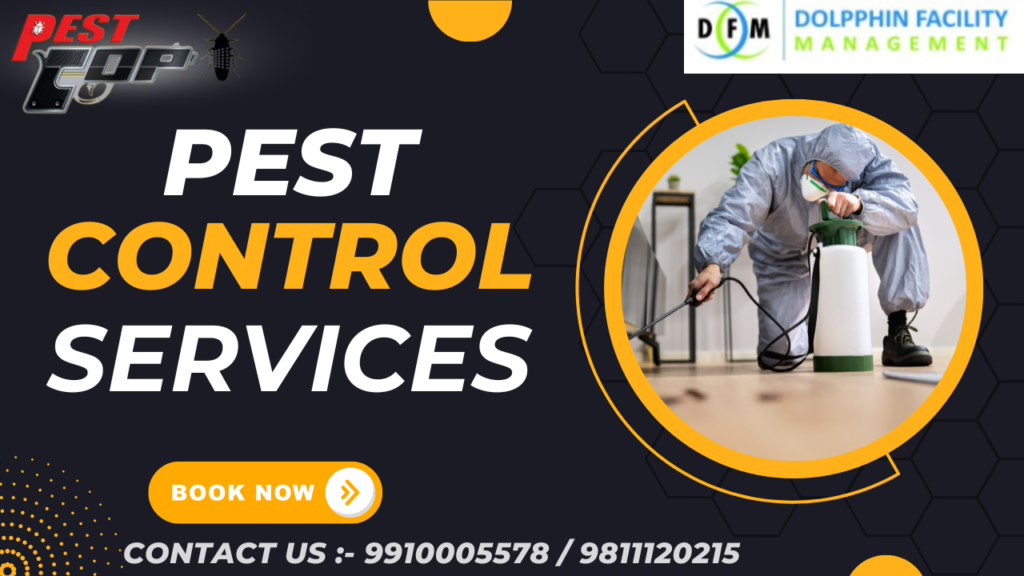 Effective Pest Control Services: A Comprehensive Solution to Your ...