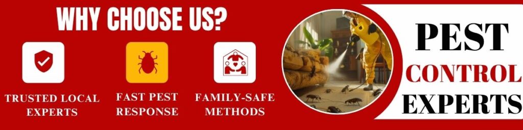 Restless Nights? The True Cause Could Be Lying in Your Bed