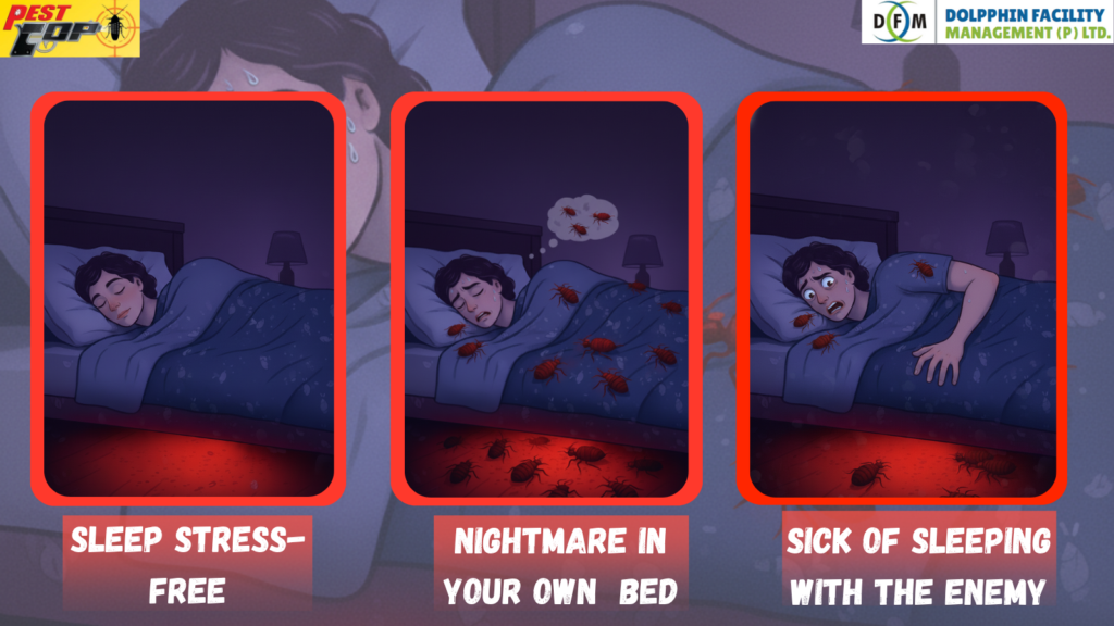 Restless Nights? The True Cause Could Be Lying in Your Bed