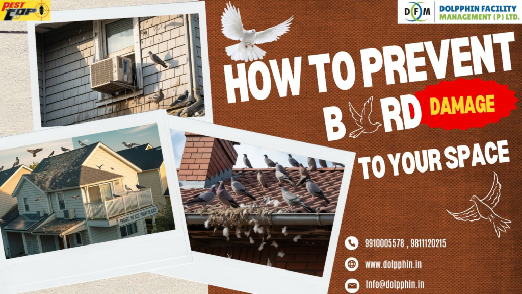 Delhi's Growing Urban Reality