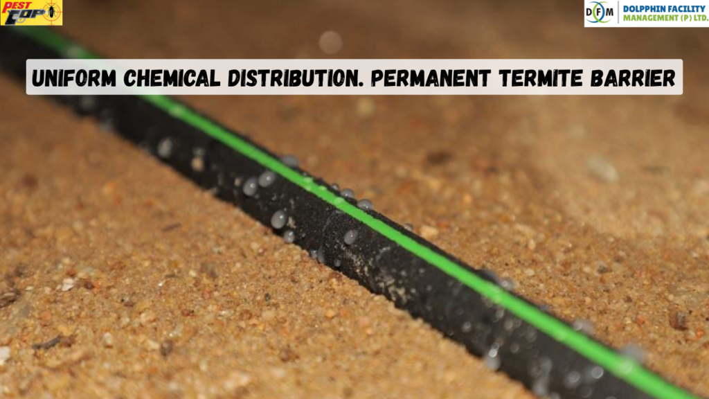 Why This Treatment Is Completed Before Construction Is Finished